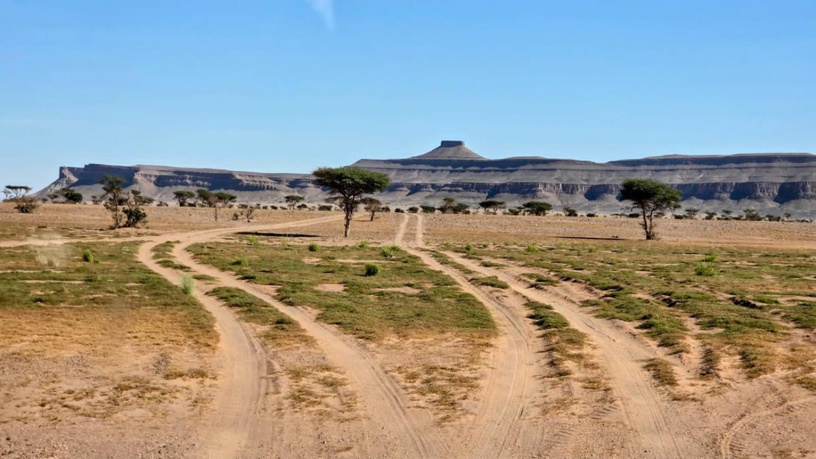 מלון Foum Zguid Bivouac Cote-Iriki מראה חיצוני תמונה