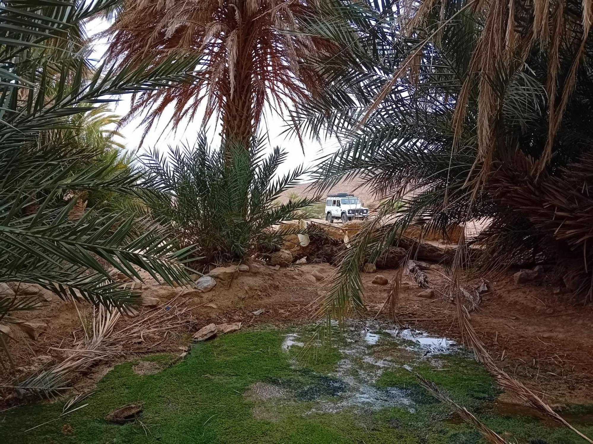 מלון Foum Zguid Bivouac Cote-Iriki מראה חיצוני תמונה
